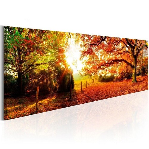 Bild auf leinwand 120 cm - x, 40